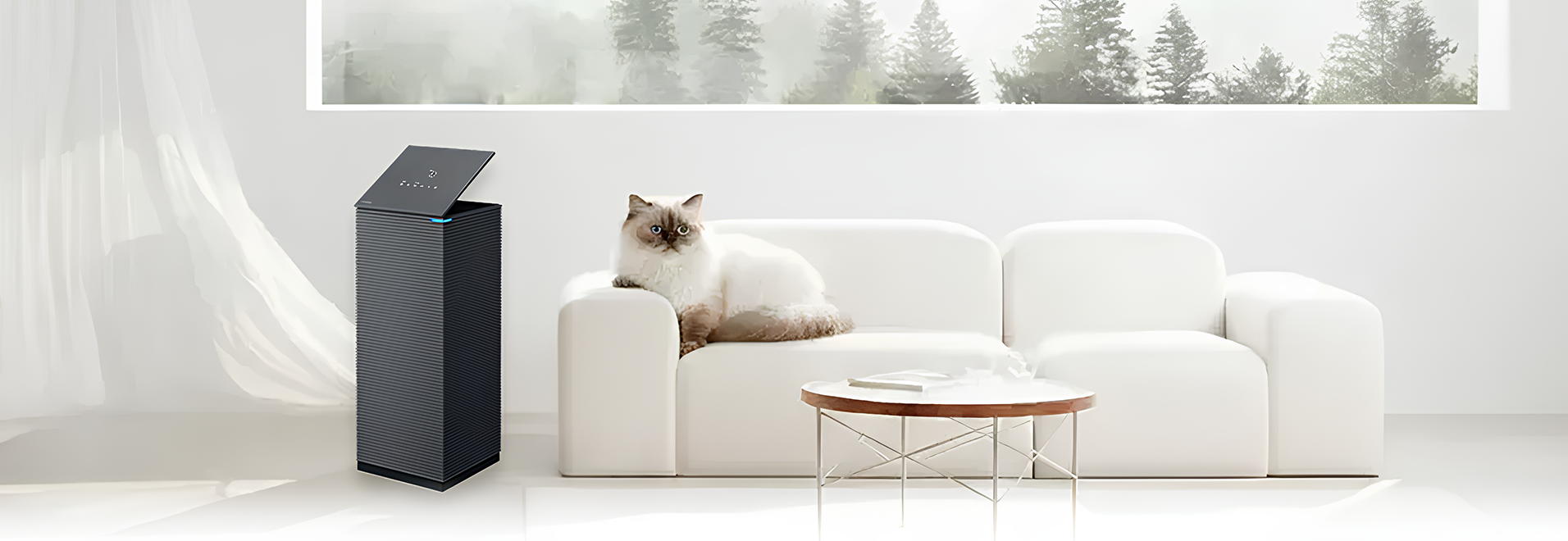 Subscribe คืออะไร?